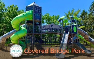 Playground Spotlight: Covered Bridge Park