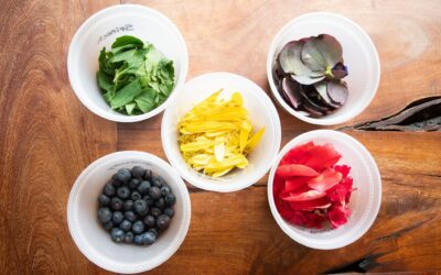 Gardening with Kids! Fun Ideas for All Ages!