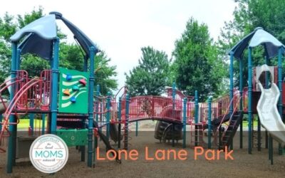Playground Spotlight: Lone Lane Park