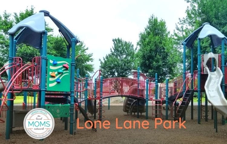 Playground Spotlight: Lone Lane Park