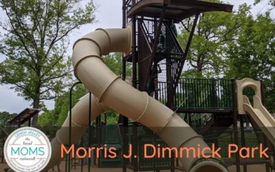 Playground Spotlight: Morris J. Dimmick Park