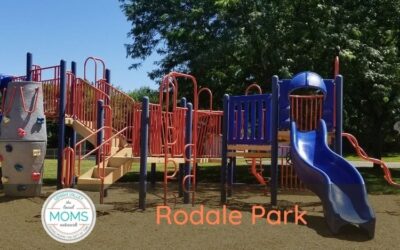 Playground Spotlight: Rodale Park