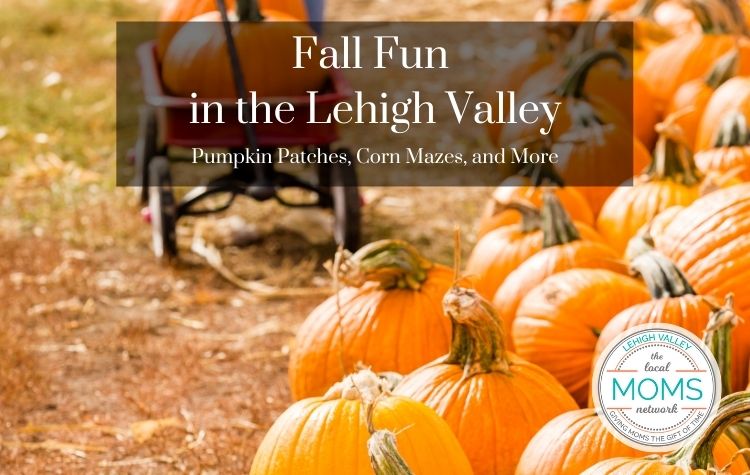 Fall Fun in the Lehigh Valley: Pumpkin Patches, Corn Mazes, and More!