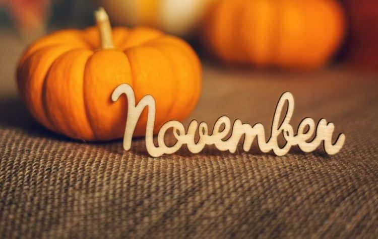 November Events Worth Celebrating in Lehigh Valley!