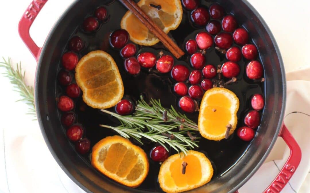 DIY Simmer Pot Holiday Fragance