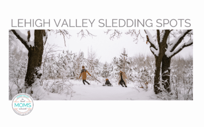 Lehigh Valley Sledding Spots