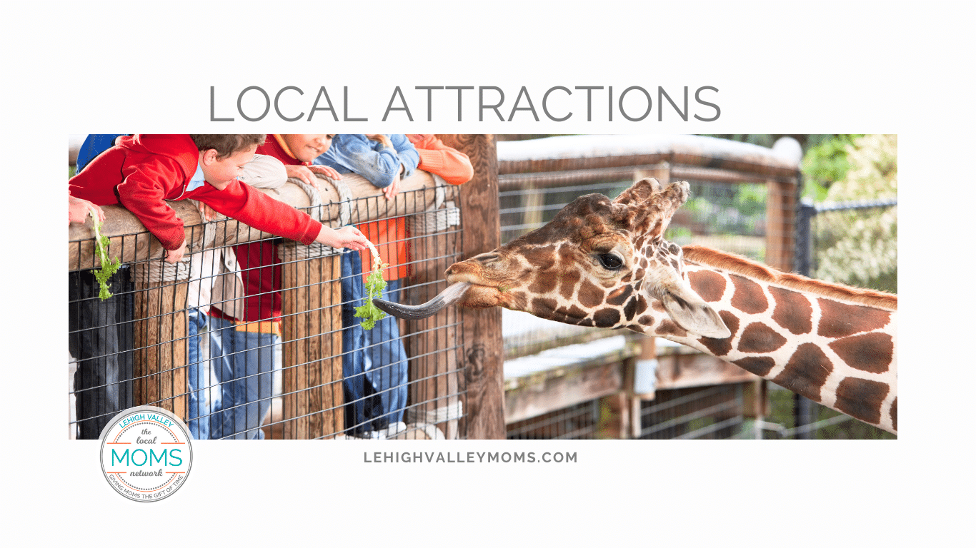 Local Attractions