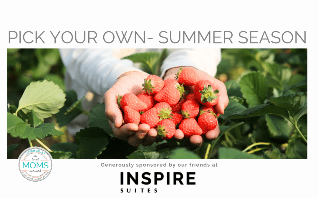 Pick Your Own- Summer Season