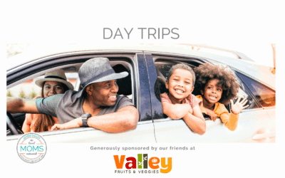 Day Trips