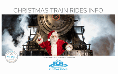 Christmas Trains