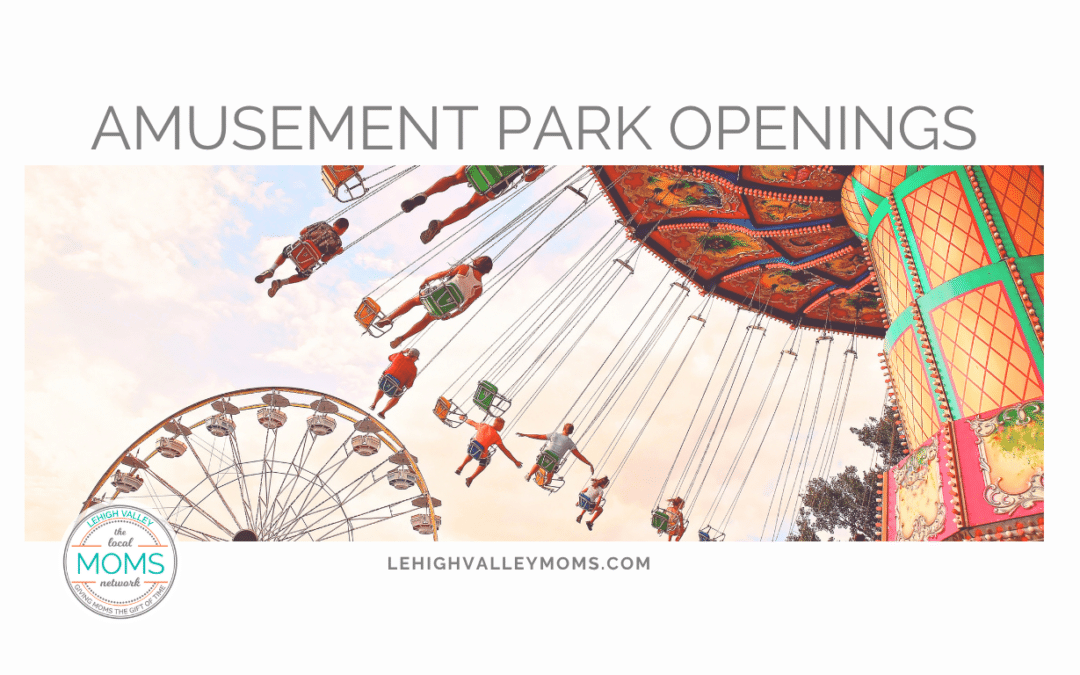 Amusement Park Day Trips
