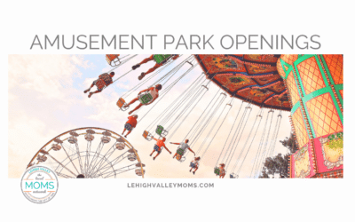 Amusement Park Day Trips